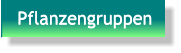 Pflanzengruppen Pflanzengruppen